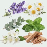 Addable Herbal Fragrance