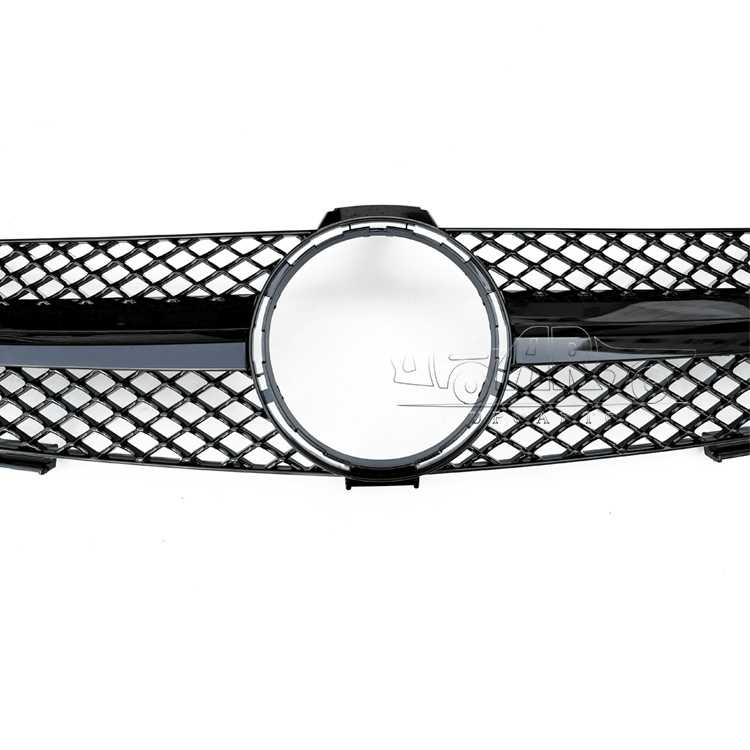 w219 amg grille car.jpg