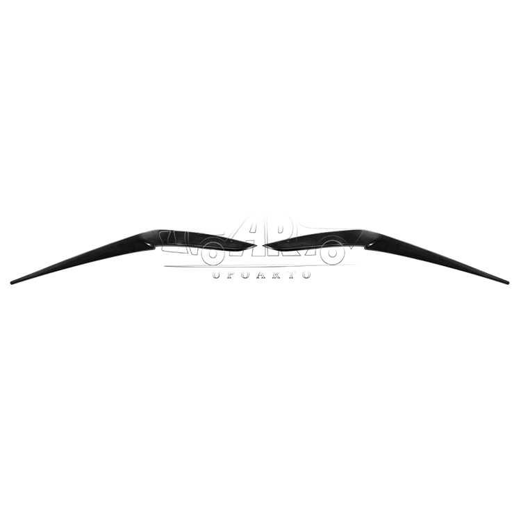 AR-BMW-0196 Light Brow for BMW X5 G05 2019-2023