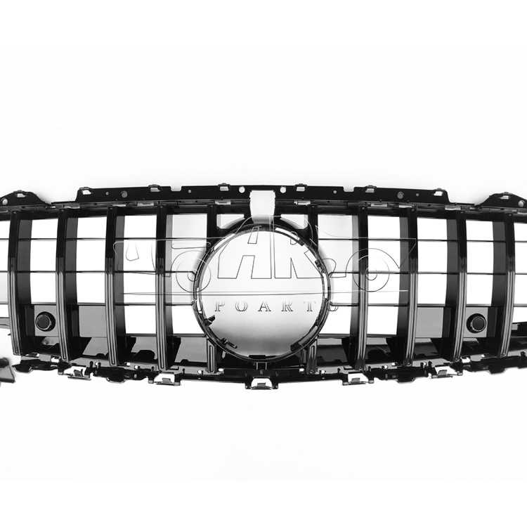 c257 gtr grille car.jpg