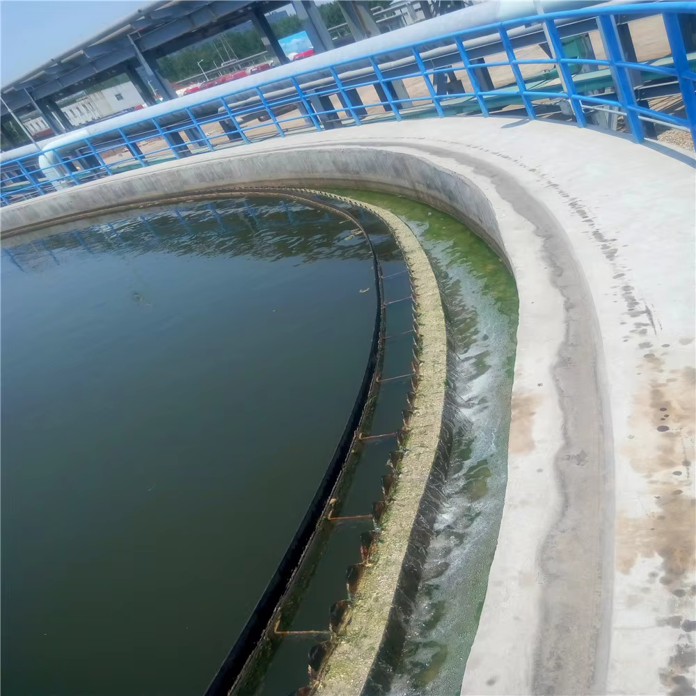 Automatic Full Bridge Chain industrial and domestic Wastewater treatment Sludge Scraper in Secondary Sedimentation tank details