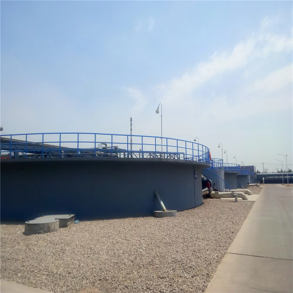 Automatic Full Bridge Chain industrial and domestic Wastewater treatment Sludge Scraper in Secondary Sedimentation tank supplier