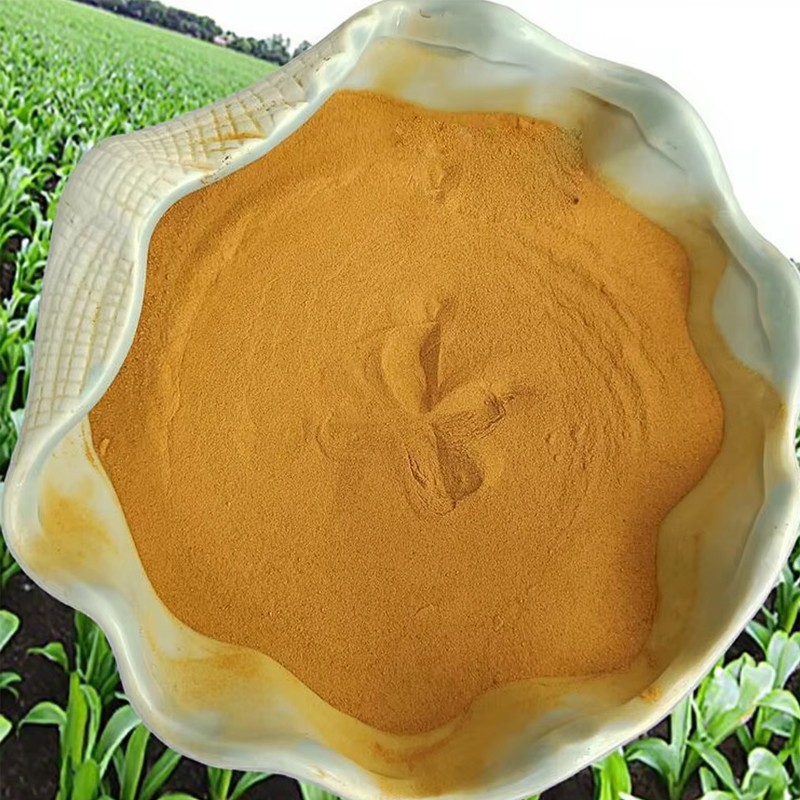 Cosa Dovresti Sapere sull'Utilizzo del CSL in Polvere al 42% come Ingrediente per Fertilizzanti?