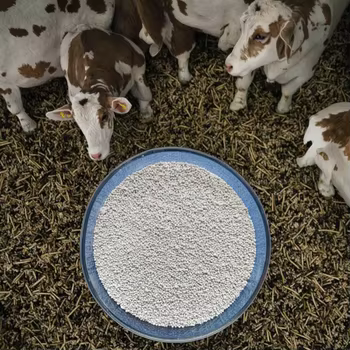  Premium White Granular Monodicalcium Phosphate for Optimal Nutrition