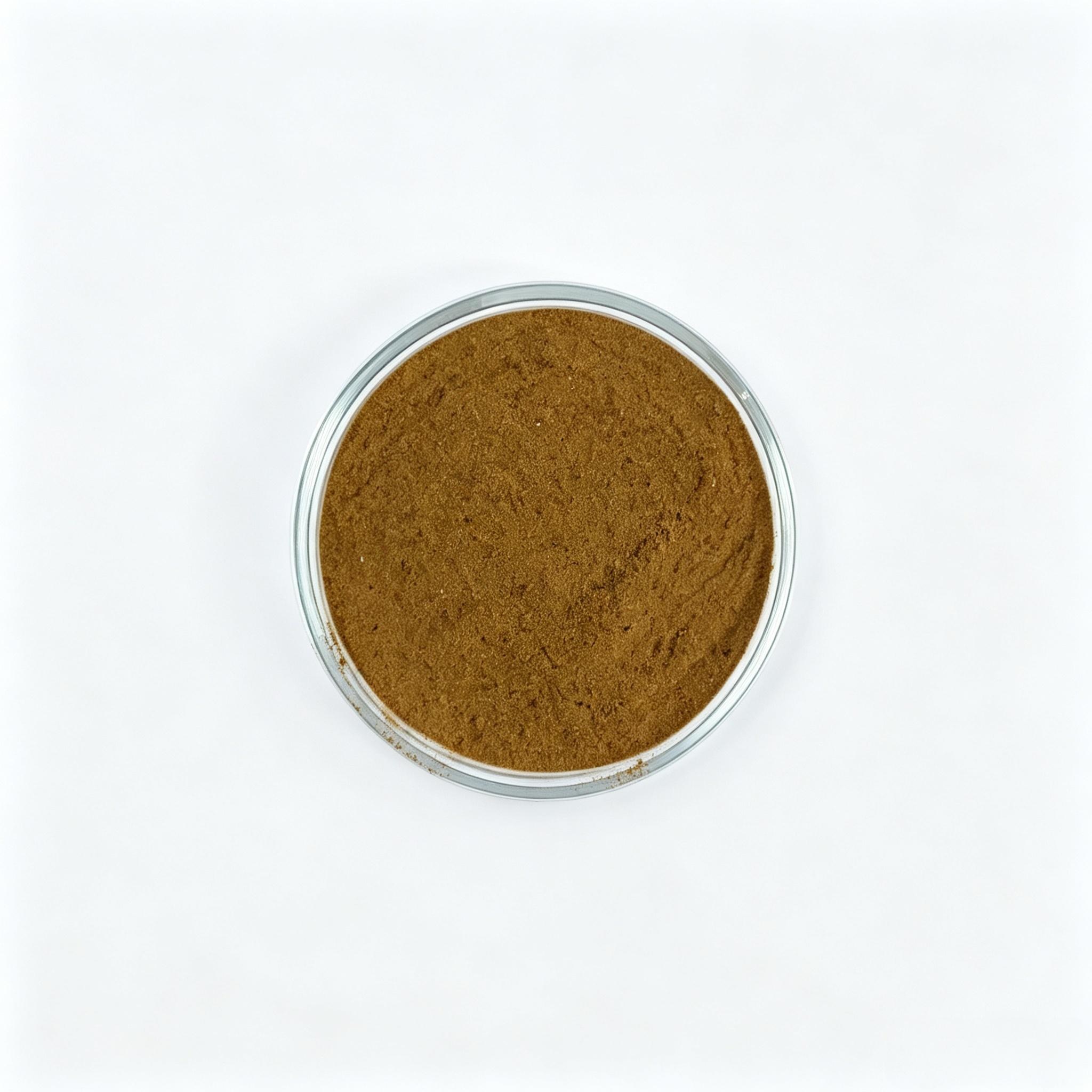 Corn Steep Liquor Powder