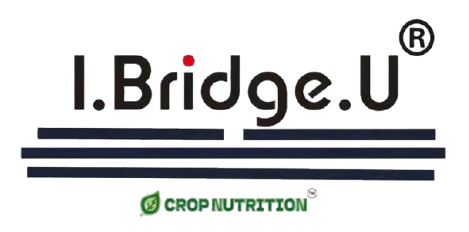 Zhengzhou Bridge Biochem Co.,Ltd.