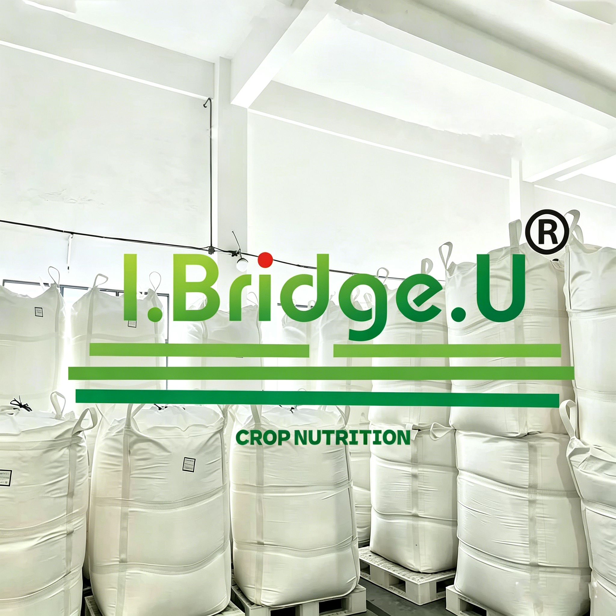 dicalcium phosphate 18 dcp 18-3