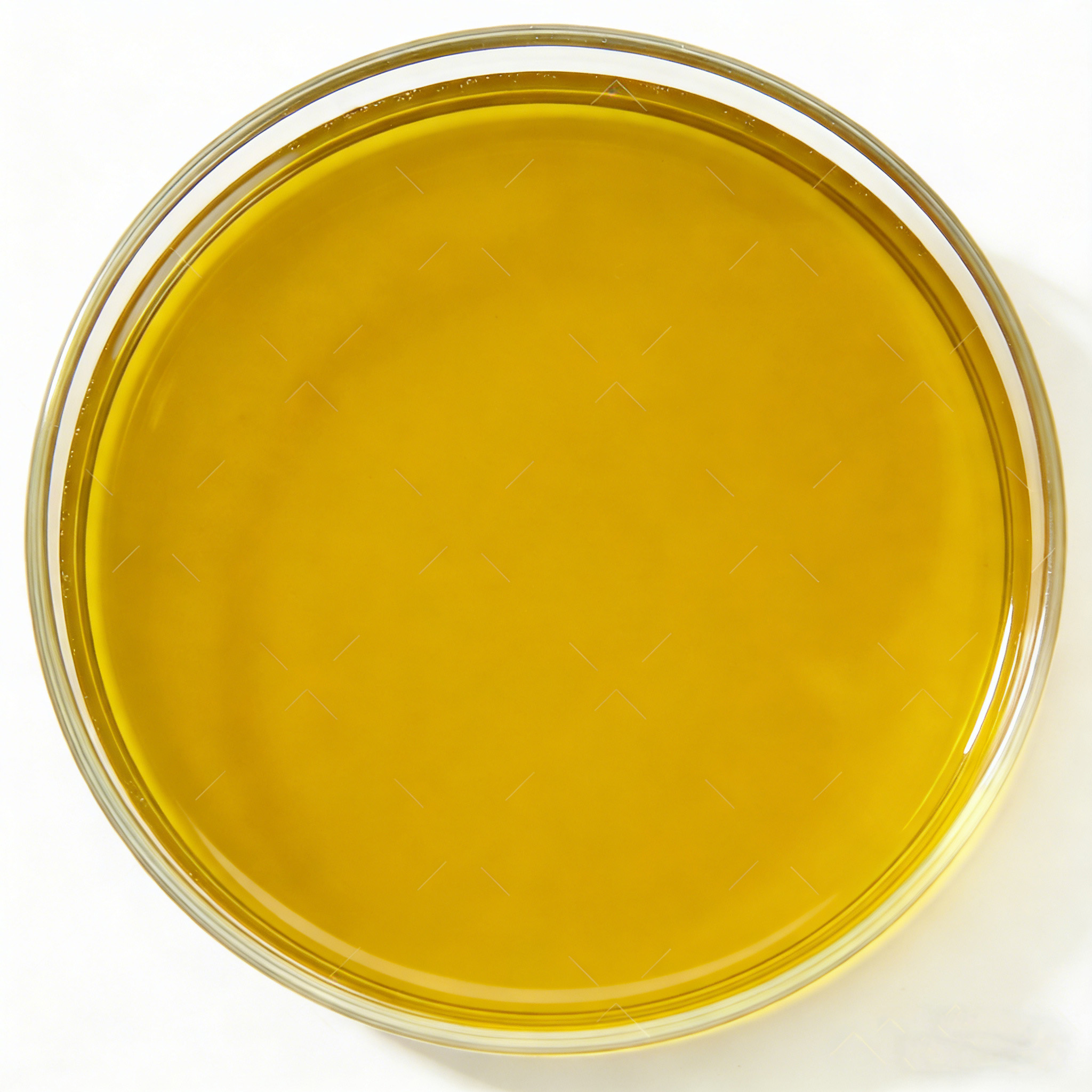 Boron (B) Liquid Micronutrient Fertilizer