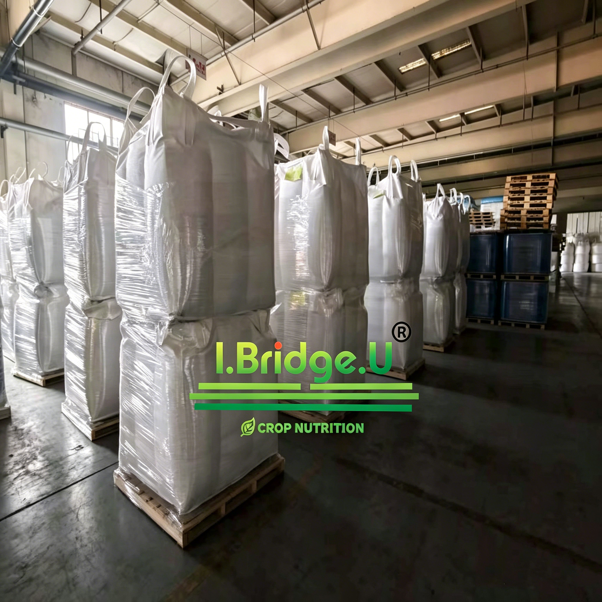 dicalcium phosphate dcp 16 granular fertilizer grade-2