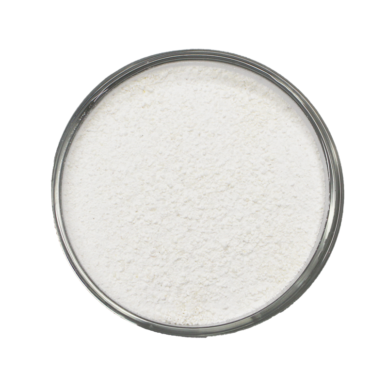 Cost Effective Rice Protein Powder for Sustainable Nutrition Solutions