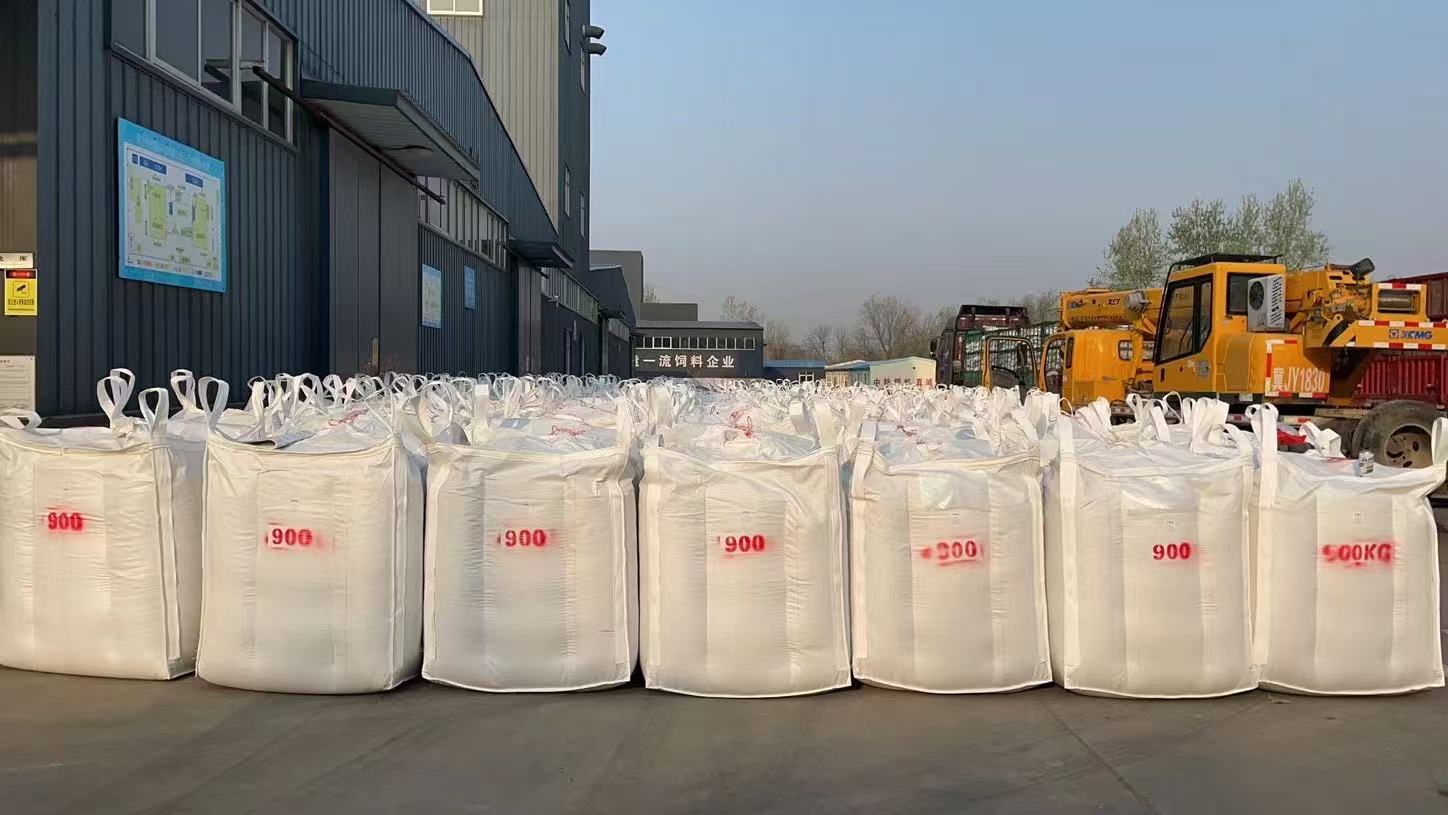  Discover High-Quality Powdered Mycoprotein Solutions