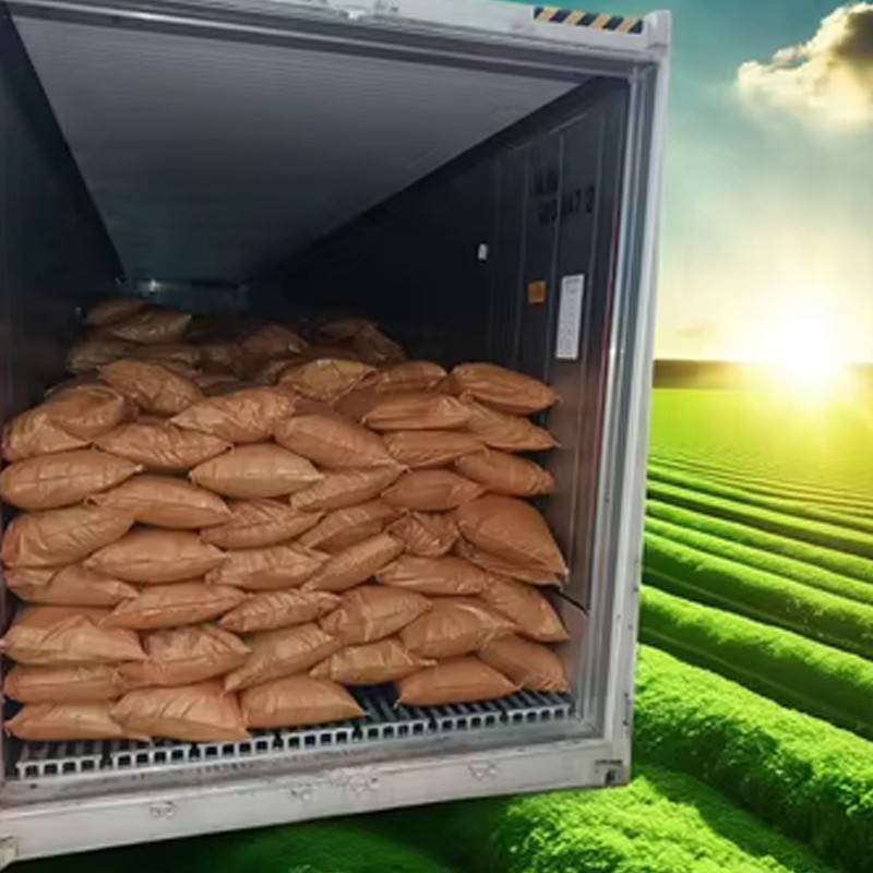 Discover the Benefits of Liquid Corn Hydrolysate