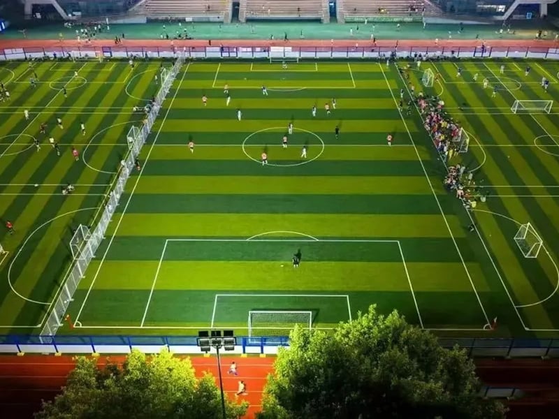 The 96,000 + high-density no-fill artificial turf from Shizumei has been officially launched, ushering in a new era of no-fill artificial turf