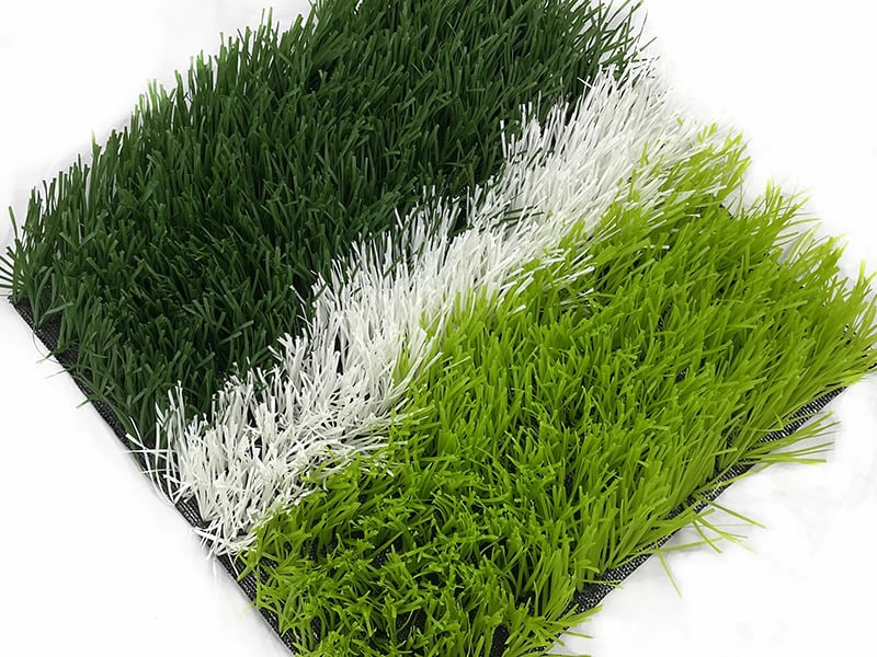 2(726dc2fc04).jpg
