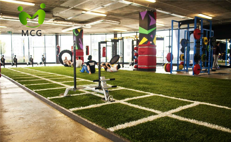 MCG-Gym (36).jpg