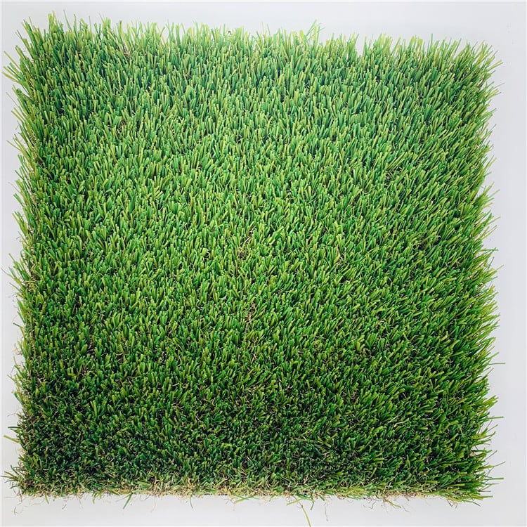 MCG Green Plastic Carpet for Kindergarten School Outdoor Roof Decor Durable Grass Type Plant