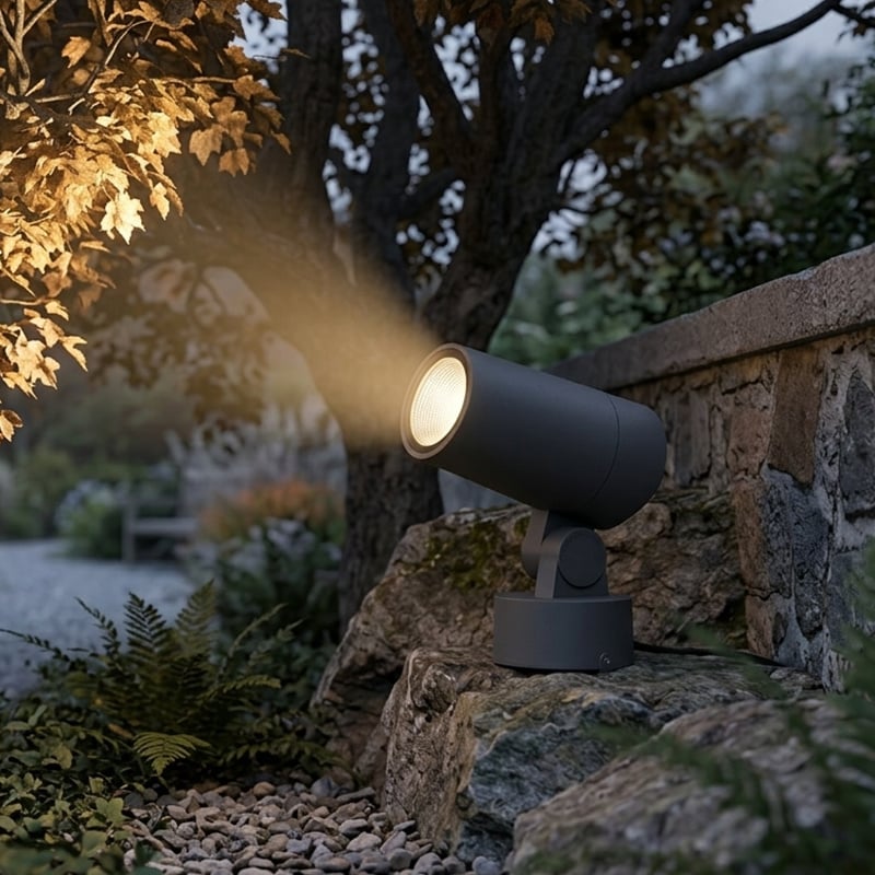 Spot Light