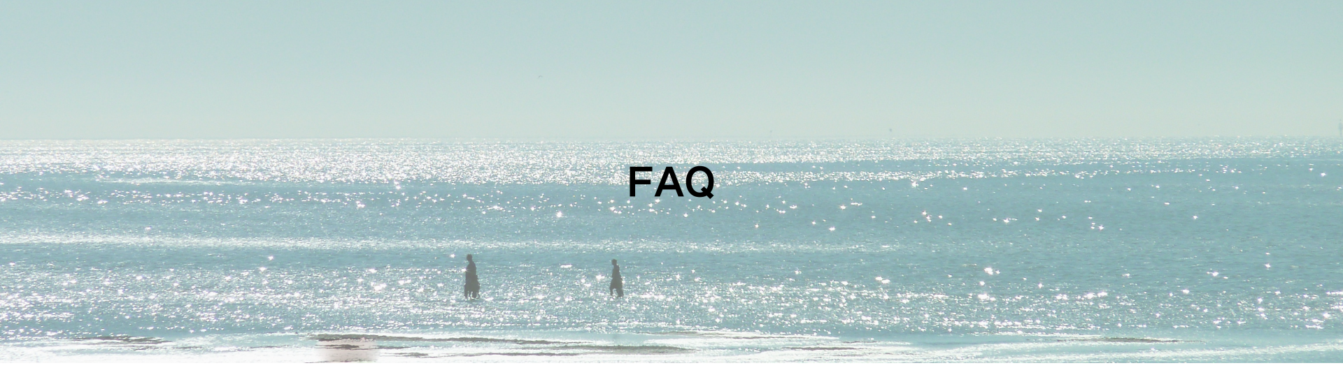 faq-2
