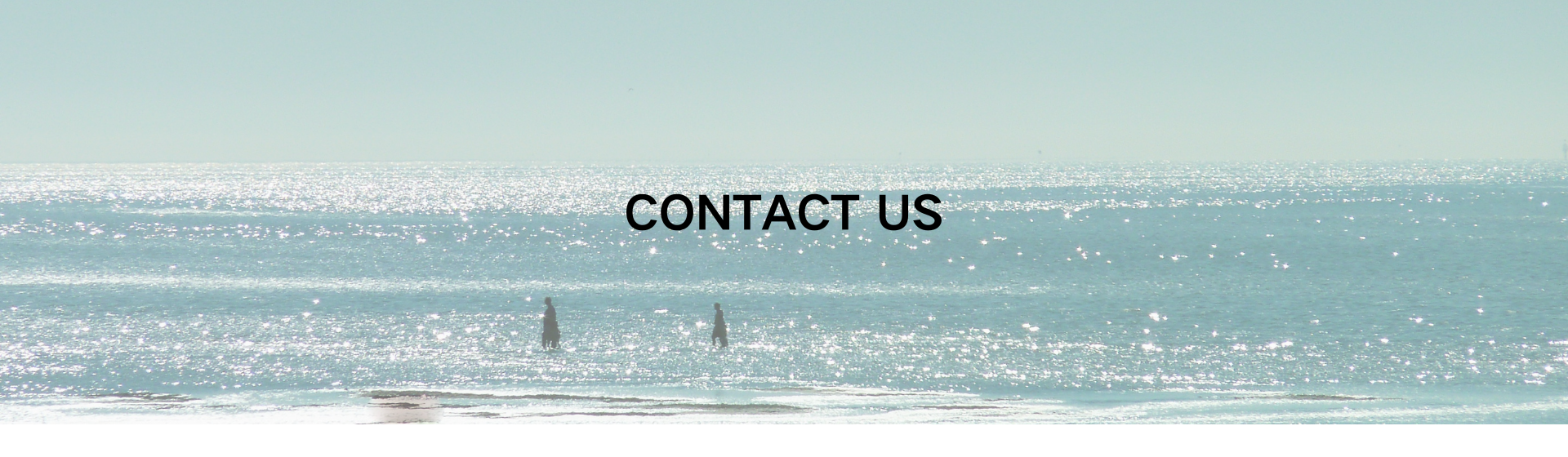 contact us-2