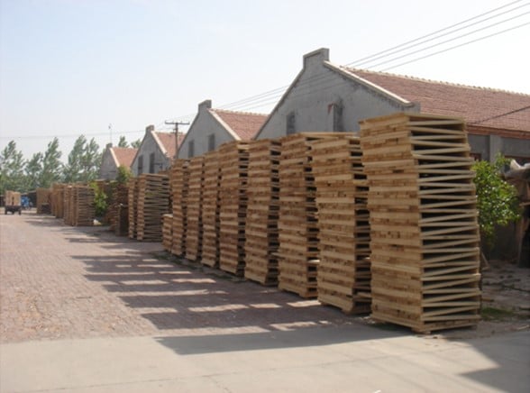 2006