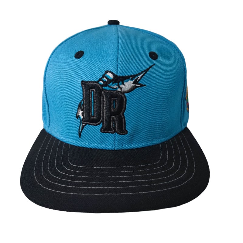 Factory custom Premium quality 2 tone 6 panels flat brim snapback hat 100% cotton twill hip hop style cap flat embroidery outdoor