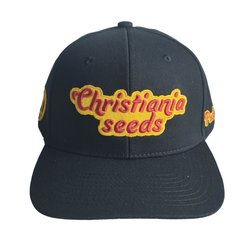 Factory customize premium quality 6 panels 100% cotton twill fabric baseball cap sport hat embroidery slightly curved brim strap metal buckle side patch outdoor 