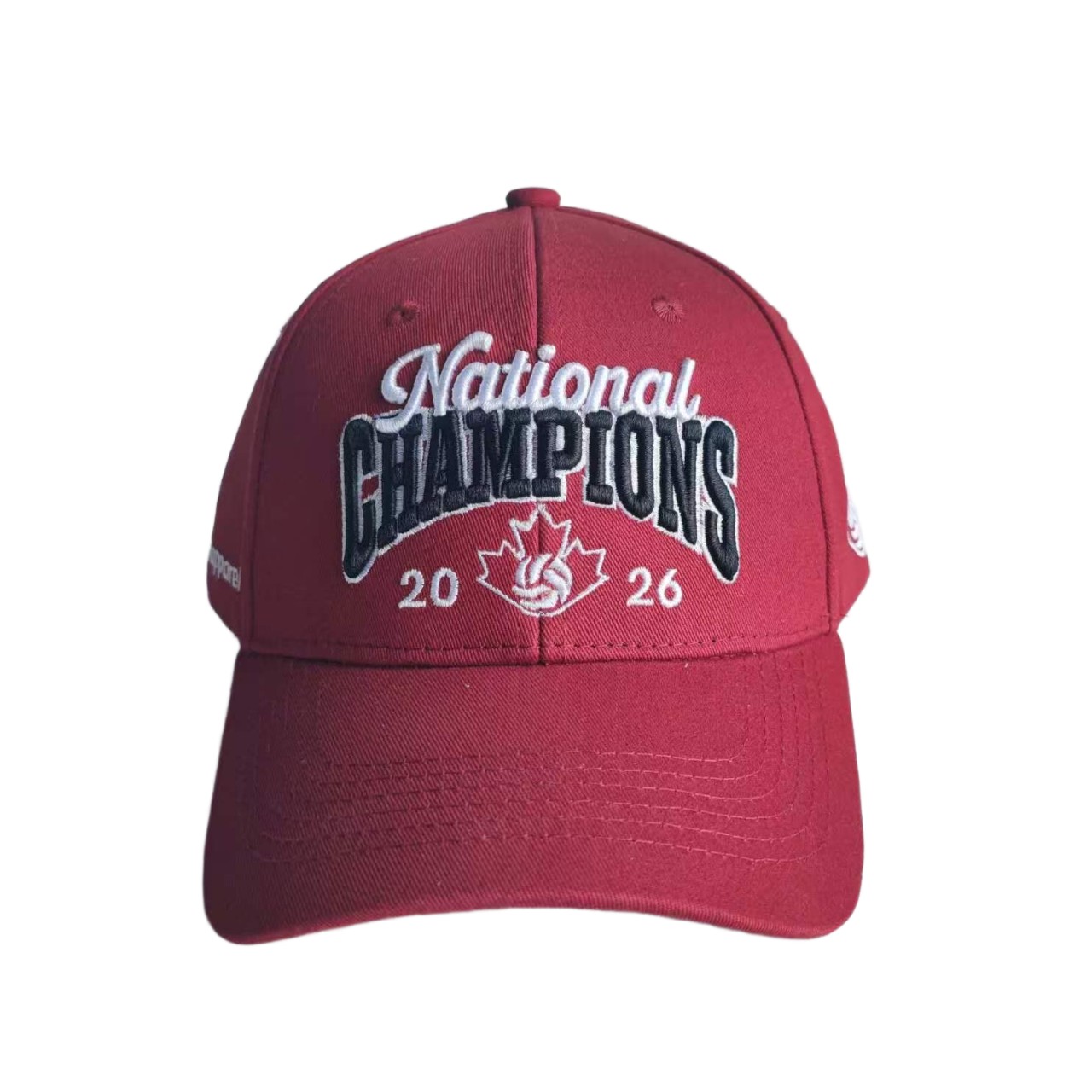 Premium quality 6 panels 100% cotton twill fabric baseball cap sport hat embroidery curved brim plastic snapback outdoor 