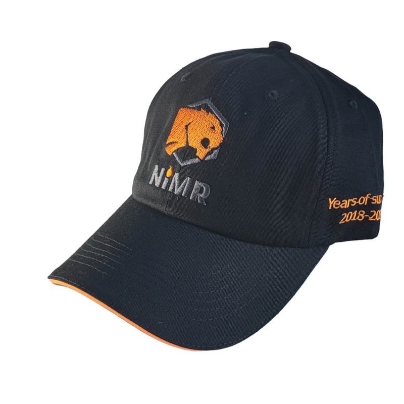 Premium 6-Panel Unstructured Dad Hat (DD26006): The Curved Sandwich Visor Choice for Athletic and Team Identity