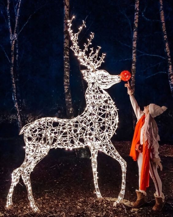 Wholesale Custom Animal-Shaped Lighted Decorations – LED Lamps for Christmas, Holiday Parks & Commercial Squares with Remote Control manufacture