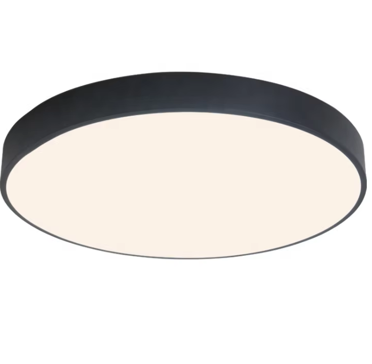 Villa Acrylic Lampshade LED Room Lights Round Ceiling Lamp Bedroom Ceiling Light supplier