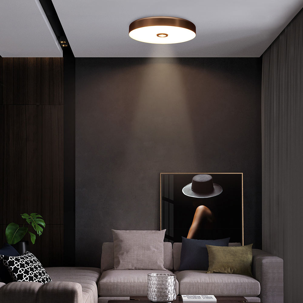 Designer Creative Ceiling Lamp – Modern Artistic Lighting for Living & Dining Rooms supplier