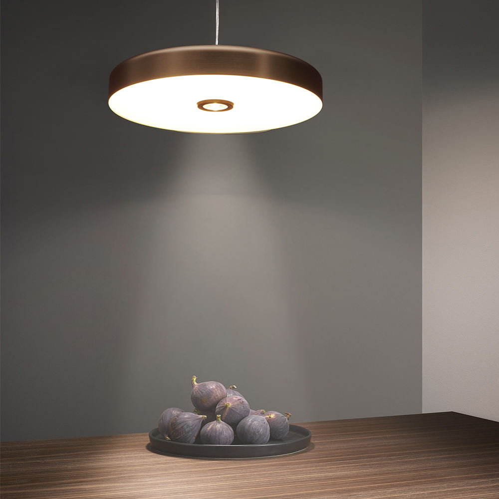 Designer Creative Ceiling Lamp – Modern Artistic Lighting for Living & Dining Rooms details