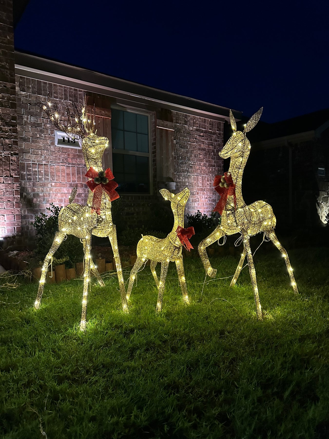 Wholesale Custom Animal-Shaped Lighted Decorations – LED Lamps for Christmas, Holiday Parks & Commercial Squares with Remote Control supplier