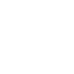 Custom Solutions