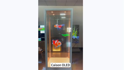 Gennemsigtig OLED-kasse Video-9