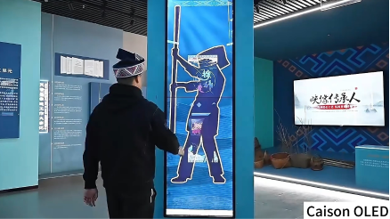 Gennemsigtig OLED-kasse Video-13