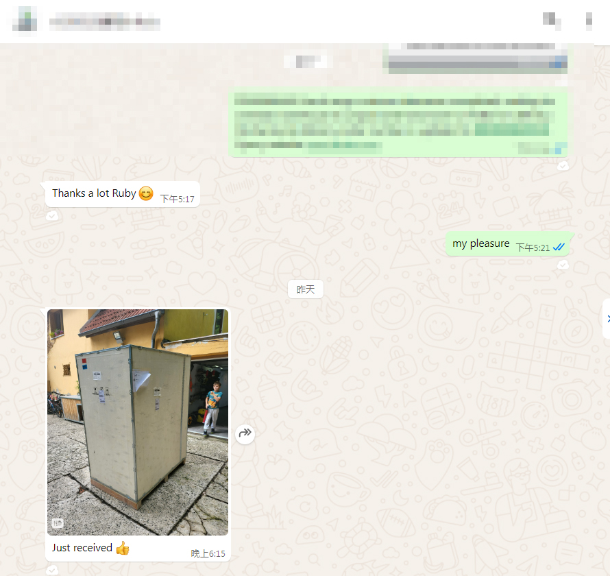 Czech customers received dpf cleaning machine b02plus