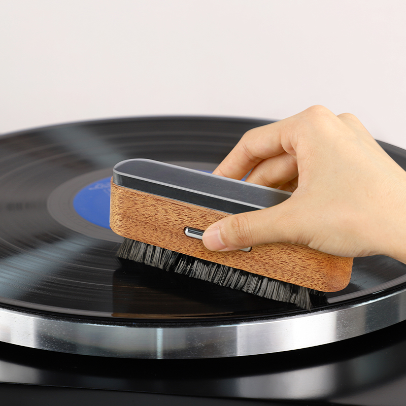 Pulizia Dischi In Vinile