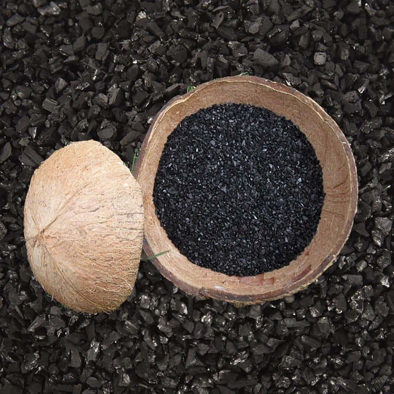 Coconut Shell Activated Carbon