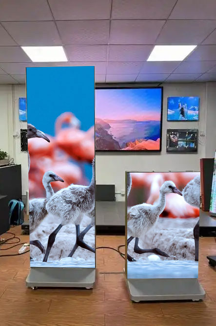 Digital Poster Display: Digital Upgrade of Posters