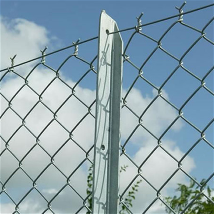 What Are the Key Benefits of Wire Mesh Fencing for Your Business?