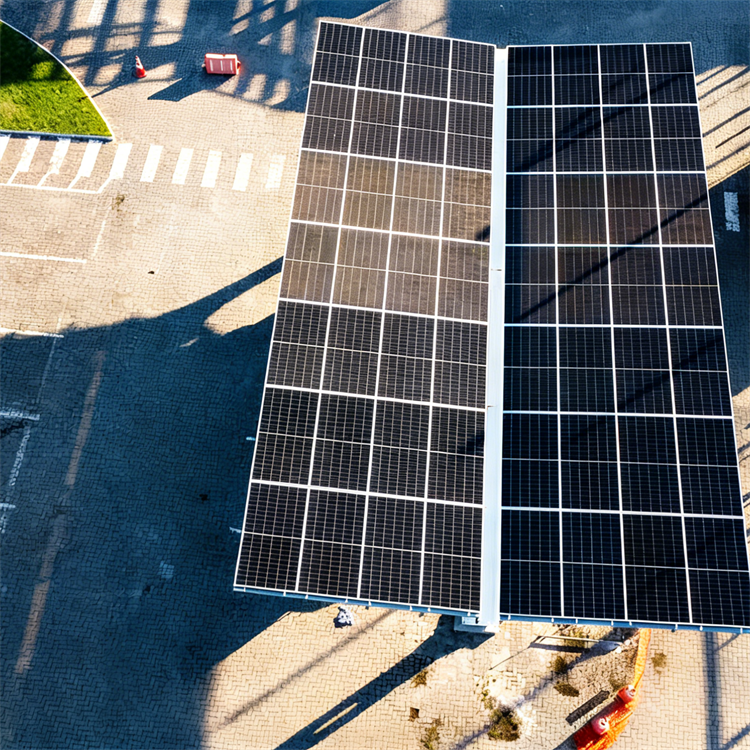How to Choose the Best Solar Canopy for Your Business Needs