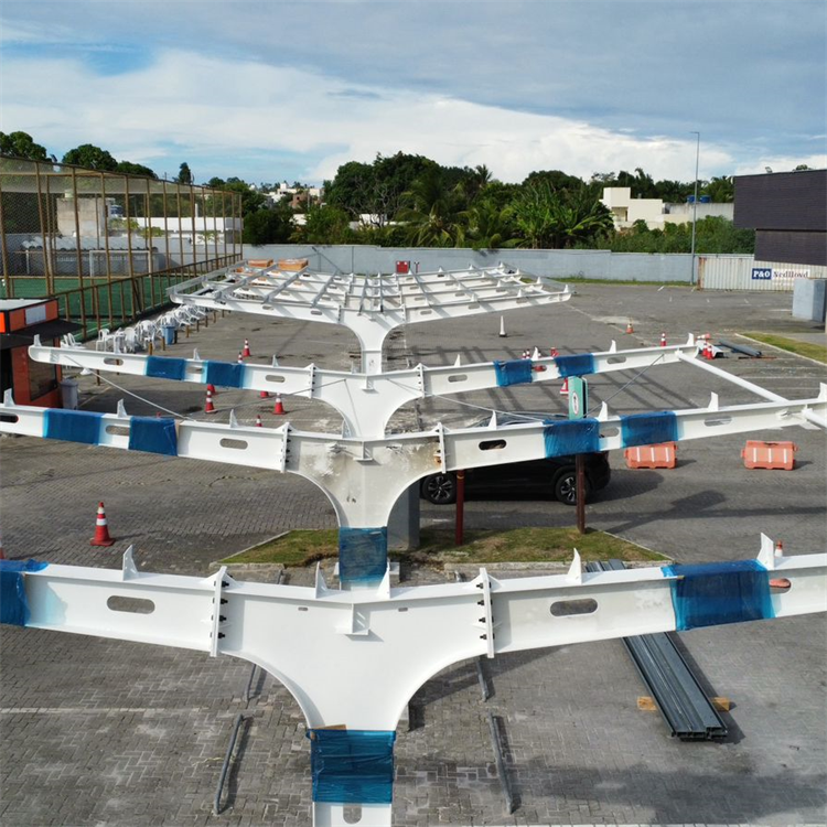 What to Consider When Investing in Solar Carports for Your Business