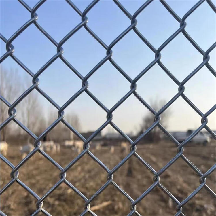 Where to Find the Best Deals on Woven Wire Field Fence for Large-Scale Projects
