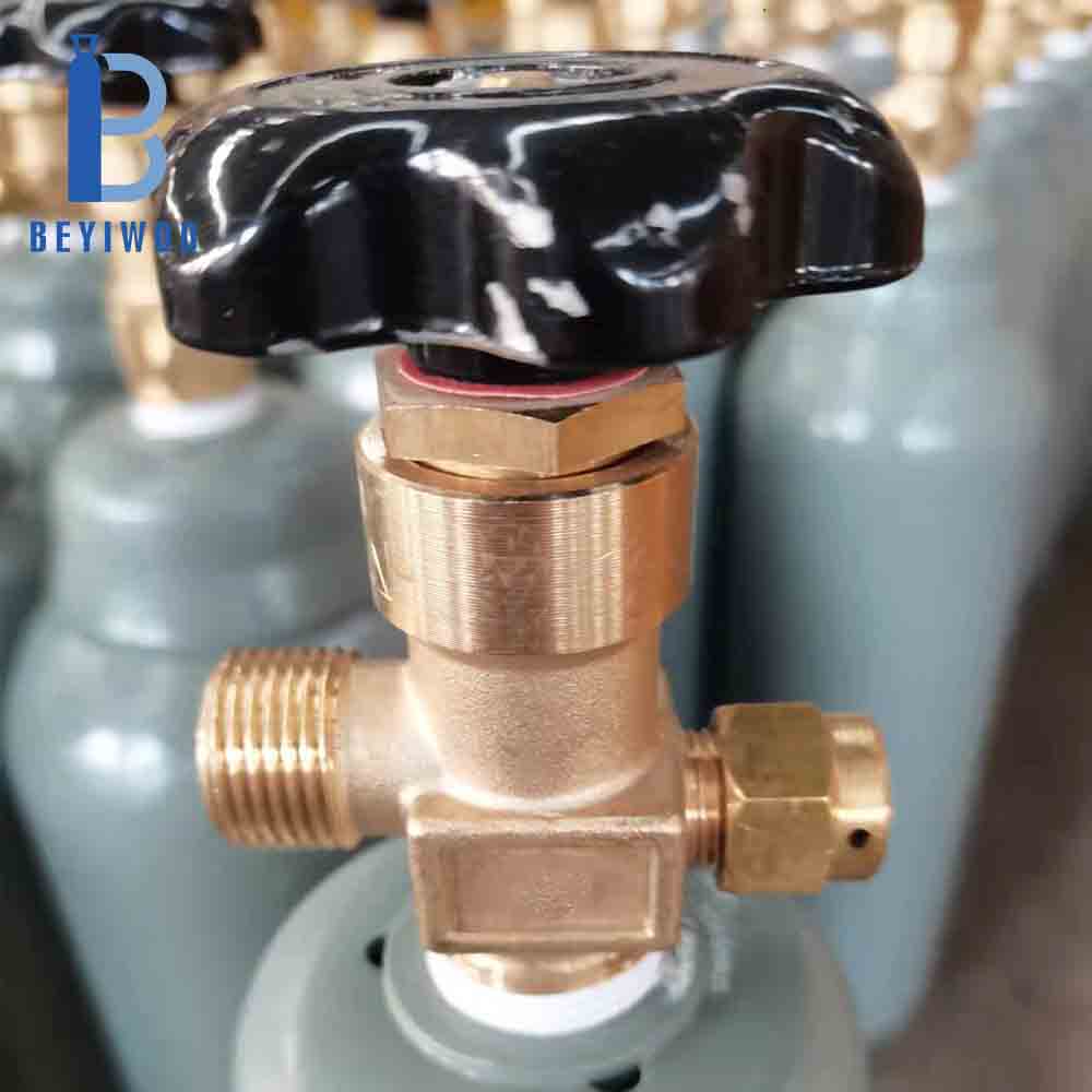 What Are the Different Sizes of CO2 Gas Bottles Available for Wholesale?