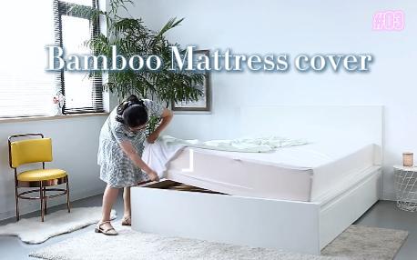 Bamboo Fiber