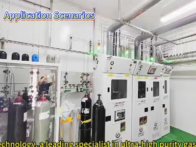 Looking for a safe and reliable solution for hazardous gases?