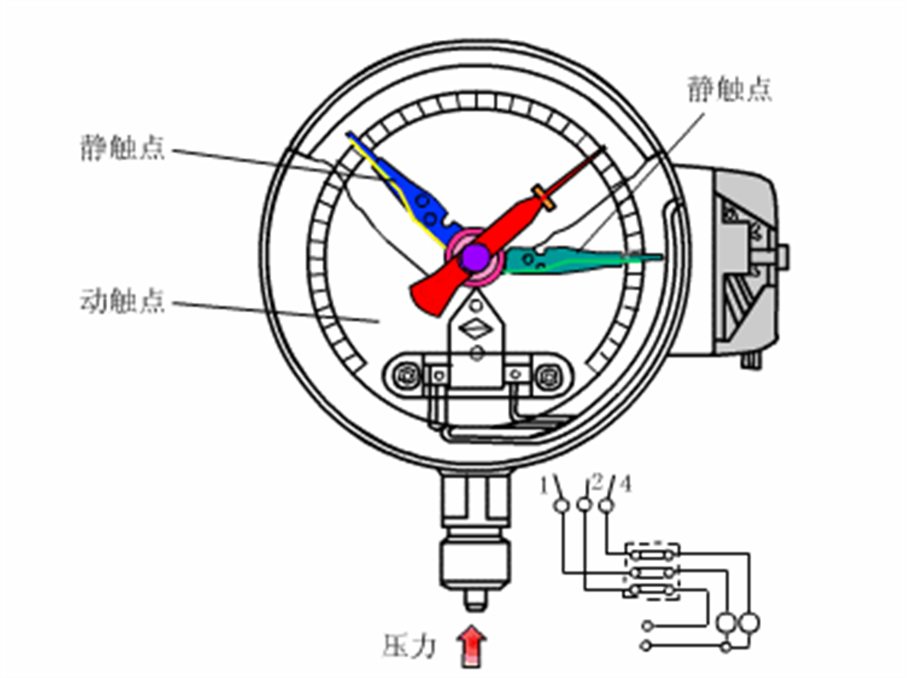 image5.png