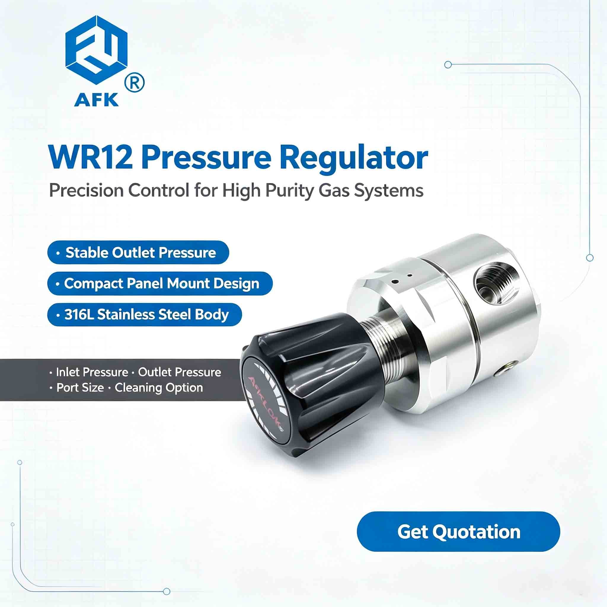 WR12 Series Medium Flow Pressure Regulator | 316L Stainless Steel Single Stage Diaphragm Regulator for Corrosive Toxic Specialty Gas, Cv=1.0, OEM Available