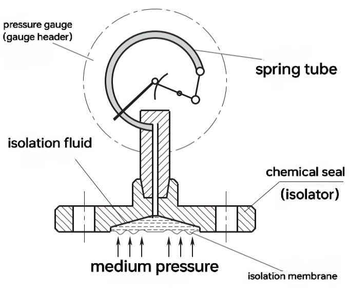image5.png
